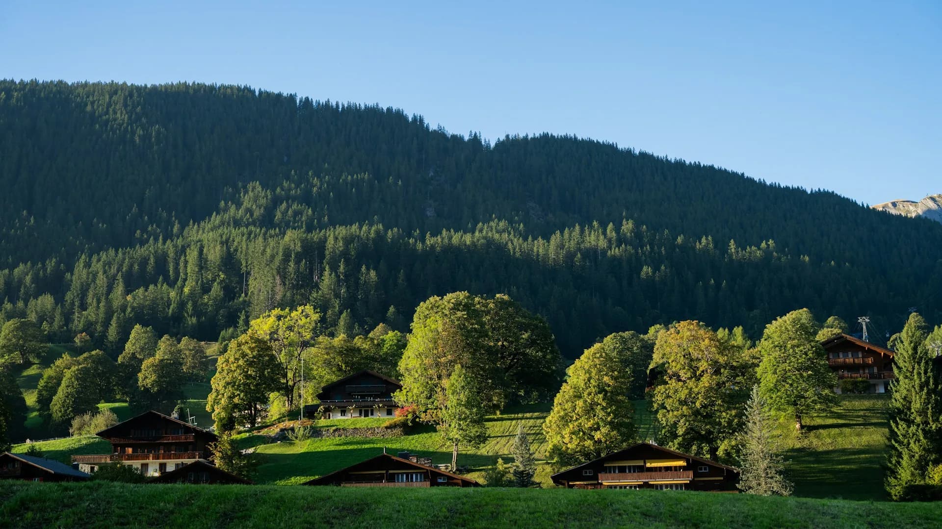 Chalets en bois dans une vallée verdoyante des Alpes en été